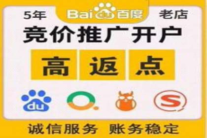 百度竞价推广的技巧与策略：某企业成功案例分享